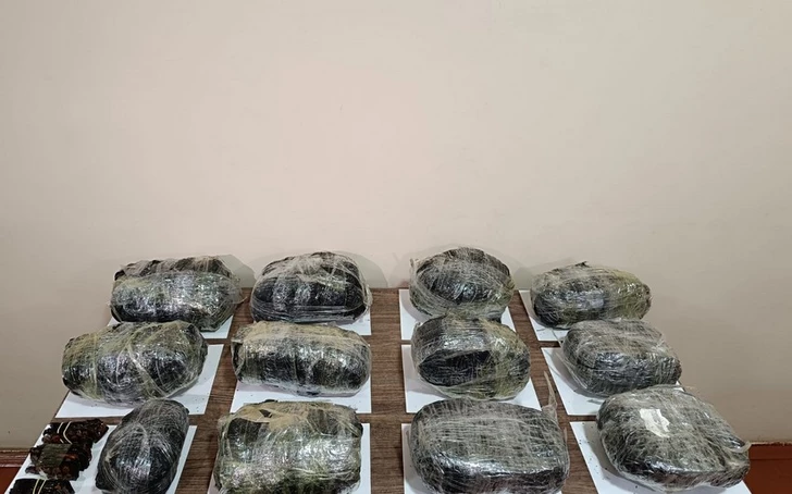 Guardias Fronterizos de Azerbaiyán Interceptan un Dron de Drogas de Irán