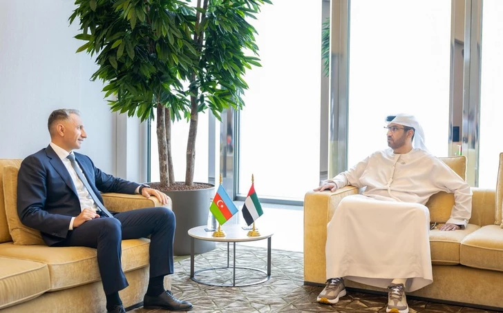 Azerbaiyán y Emiratos Árabes Unidos planean crear un centro conjunto de investigación en inteligencia artificial