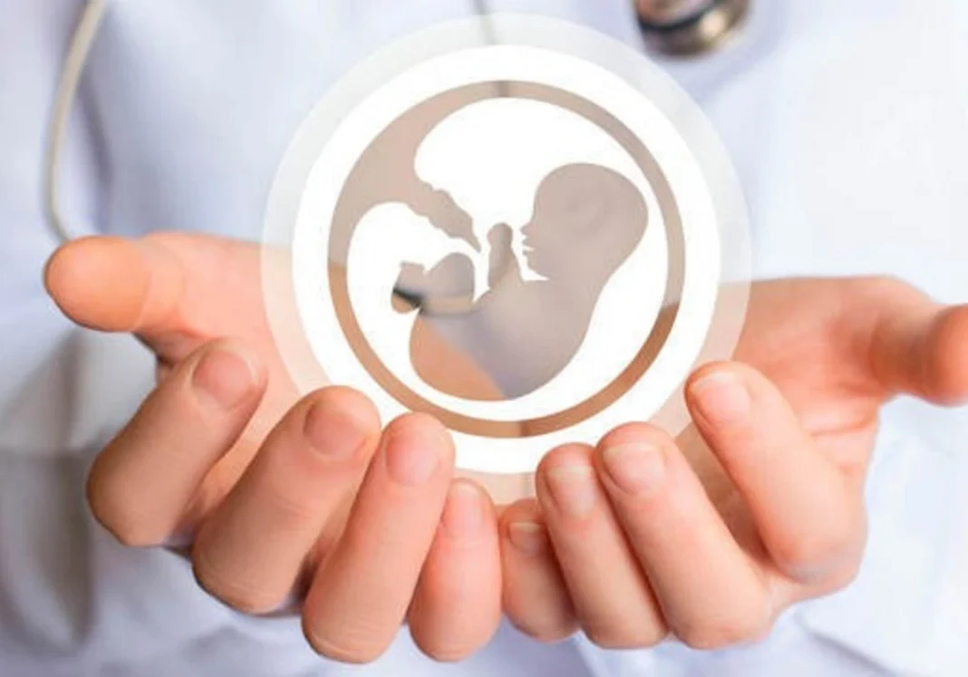 En 2024, 392 mujeres dieron a luz mediante fecundación in vitro en Azerbaiyán