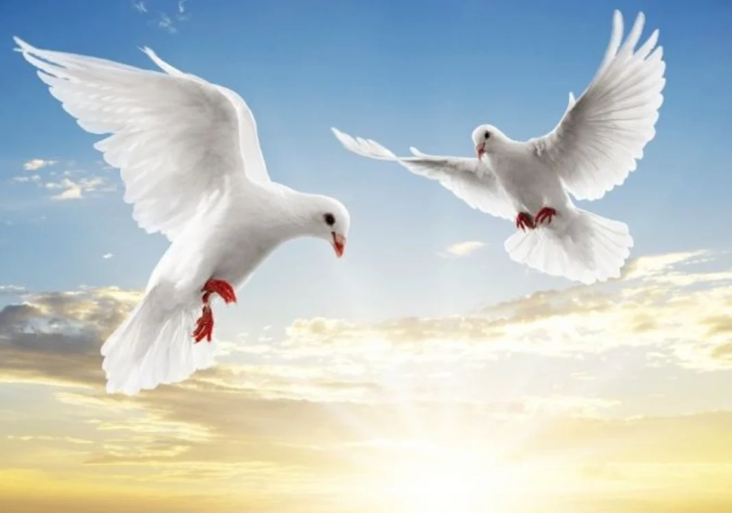 La Semana Pasada en Ereván: El Impulso de la Paz se Cruza con Tensiones Internas