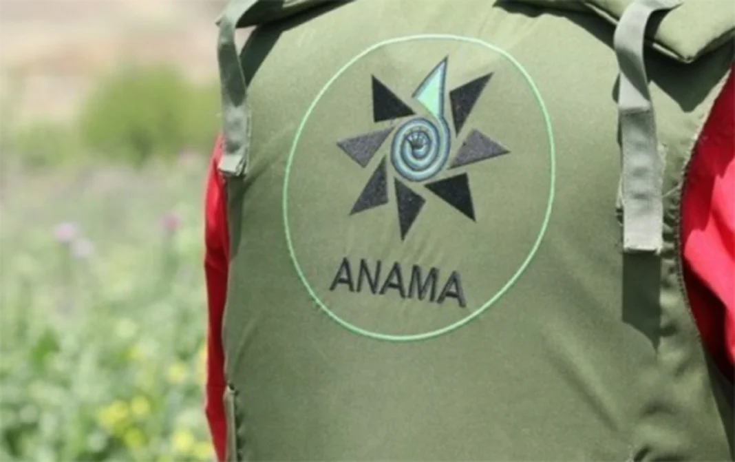 ANAMA: Más de 1.200 hectáreas limpiadas de minas la semana pasada