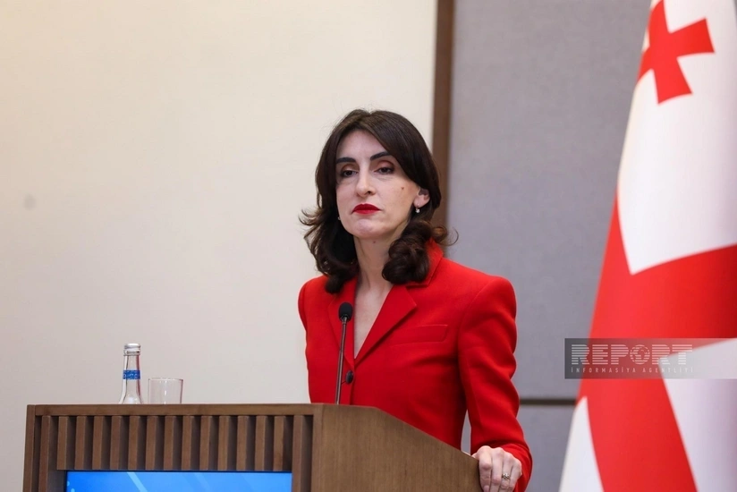 Tiflis Rechaza las Críticas Occidentales y Defiende la Transparencia Como Escudo Democrático