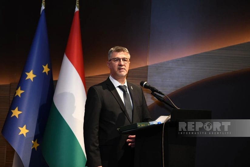 KfG620QpLepyoaIry6bzfQdqM6lLBEmQ691saYya_825