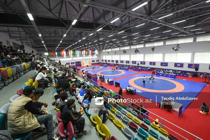 III Juegos de la CEI: Los luchadores grecorromanos de Azerbaiyán concluyen las competencias con seis medallas