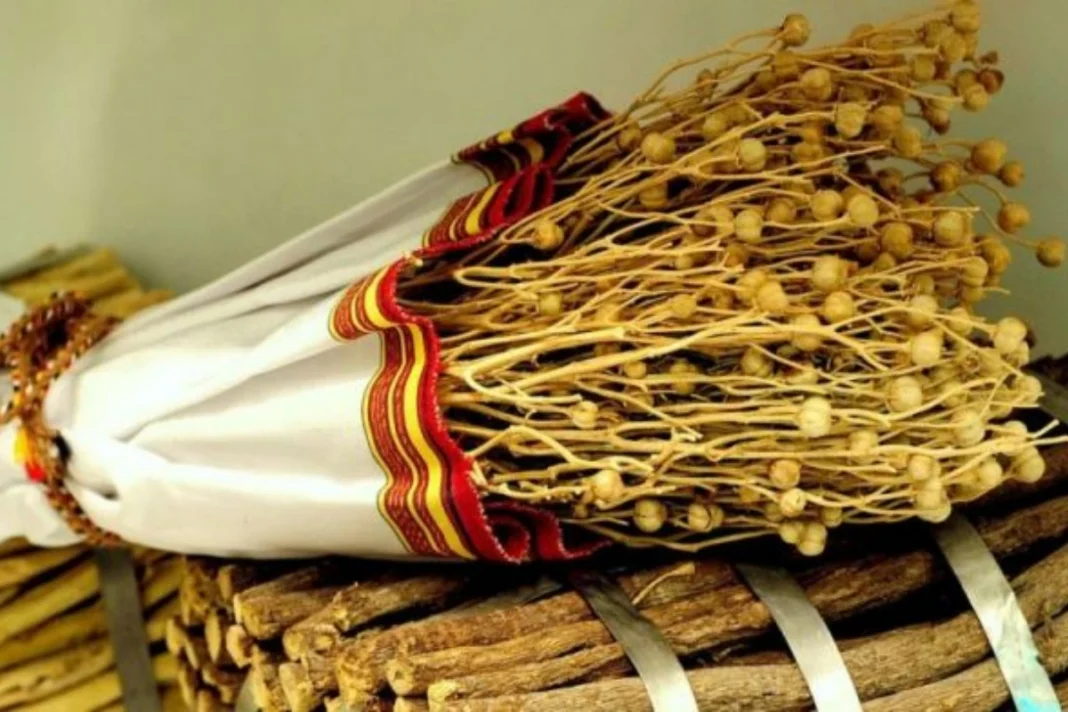 Hombre de Azerbaiyán enfrenta cargos de contrabando por una hierba tradicional