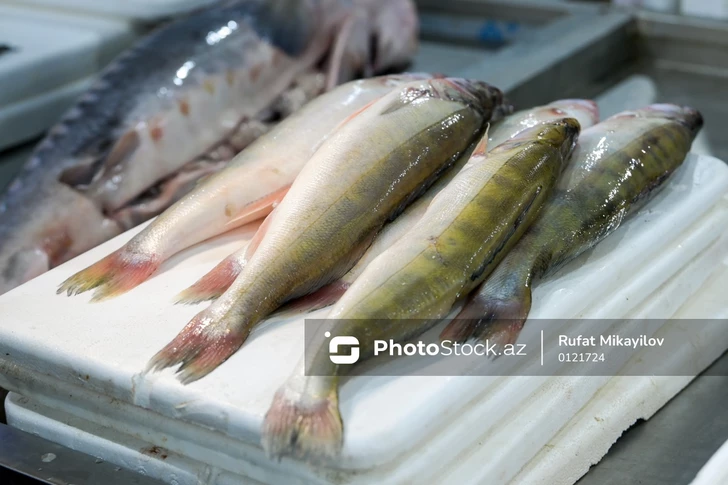 Boom pesquero en Azerbaiyán: el pánico por la fiebre aftosa cambia los hábitos alimentarios