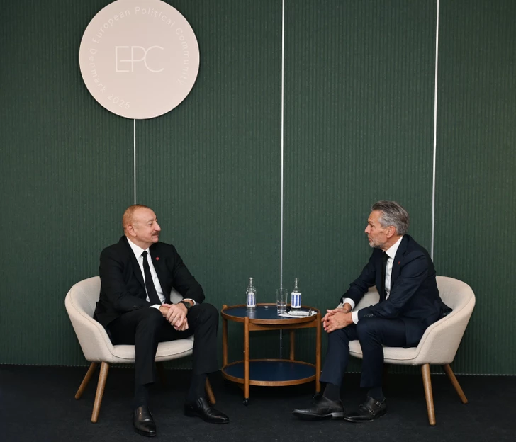 El presidente Aliyev se reunió con el primer ministro de los Países Bajos en Copenhague